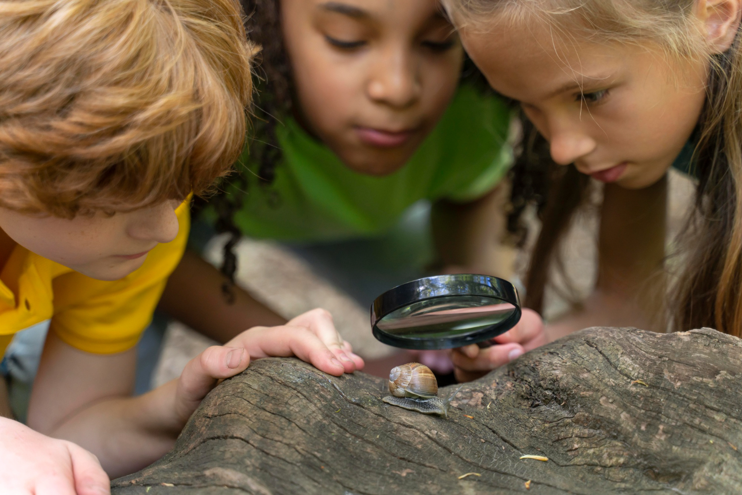 Three children leaning in with a magnifying glass, discovering a snail on a log